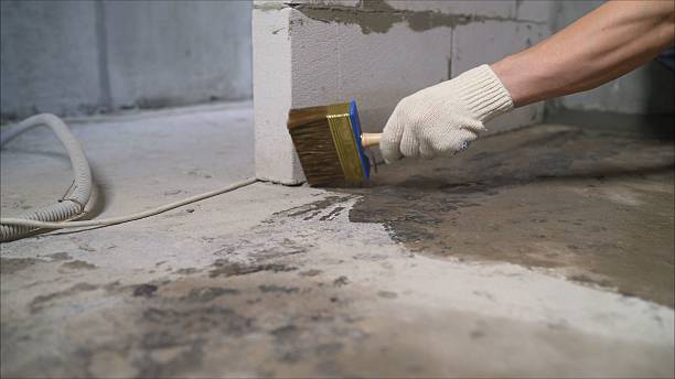 Top rated local Crawl Space Encapsulation specialists in Angwin, CA
